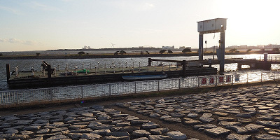 【2023】葛西臨海公園のバーベキュー情報！利用時間・予約方法・メニュー・持ち物・周辺情報まとめ！