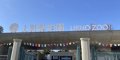 【2025】上野動物園の料金はいくら？1日チケット料金・年間パスポート・無料で入場できる日まとめ！