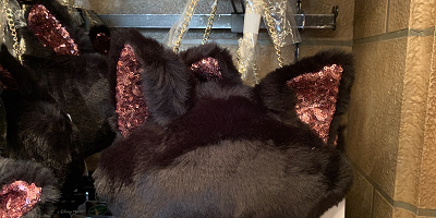 【最新】ディズニーハロウィーン2019身につけグッズ10選！ランド＆シー共通のフィガロとミイラモチーフとのお土産！