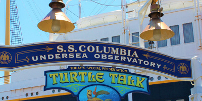 【最新】タートル・トークにファストパス導入！開始日はいつ？2種類の発券方法まとめ！