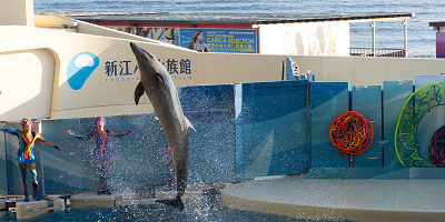 【人気】新江ノ島水族館のおすすめお土産13選！お菓子・ストラップ・文房具・生活グッズなど！