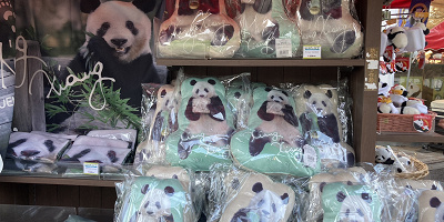 【必見】上野動物園でおすすめのお土産14選！パンダのシャンシャンやハシビロコウの人気グッズまとめ