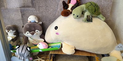 【2023】鳥羽水族館のお土産12種厳選まとめ！ラッコやジュゴンも！おすすめ・鳥羽ならではの人気グッズ！