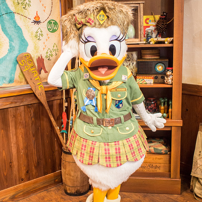 ダックファミリーの家系図 ドナルドダック キャステル Castel ディズニー情報
