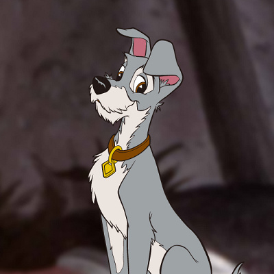 実写版 わんわん物語 に出演しているのは本物の犬たち キャステル Castel ディズニー情報