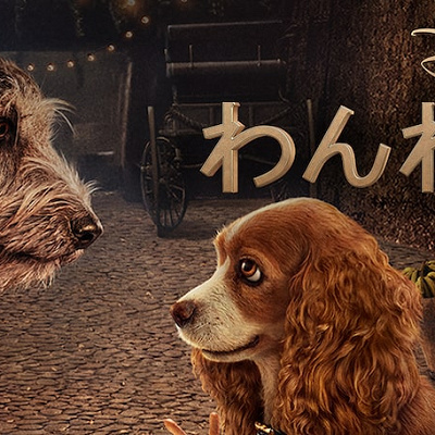 レディの犬種は アメリカン コッカー スパニエル キャステル Castel ディズニー情報