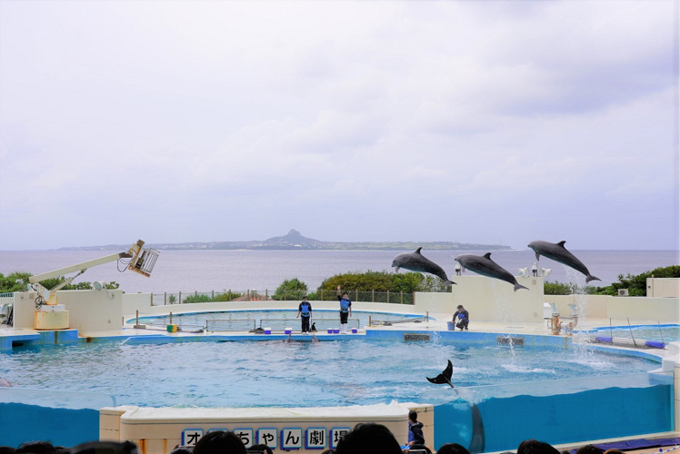 沖縄 美ら海水族館イルカショー解説 無料で見られるオキちゃん劇場の