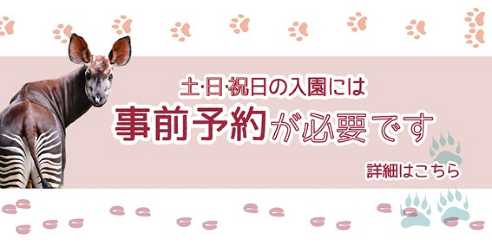 21 よこはま動物園ズーラシアの予約を解説 土日祝は入園予約がマスト 手順