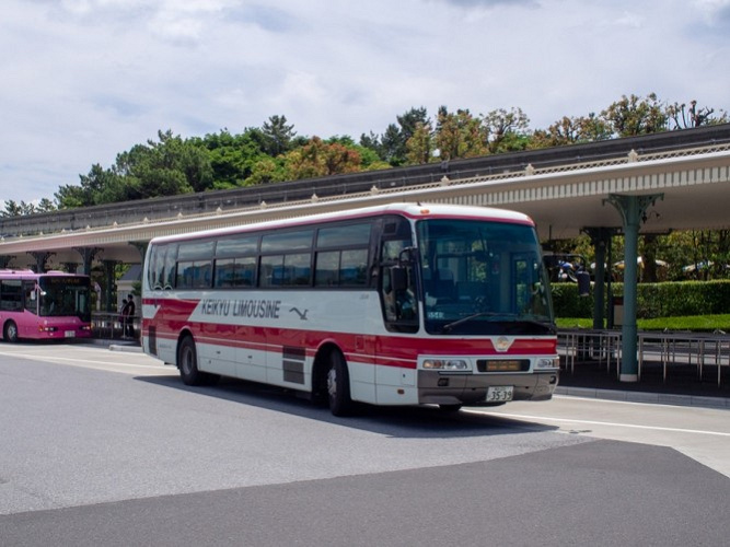 アミー号 新潟 ディズニー