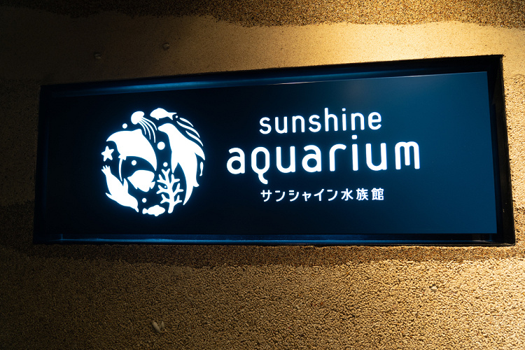 サンシャイン水族館まとめ 営業時間 料金 アクセス 見どころ イベント ショップ情報