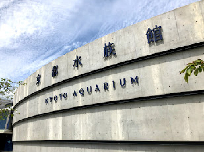 【最新】京都水族館に行ってきた！アクセス、お土産、見どころ、体験談をご紹介！