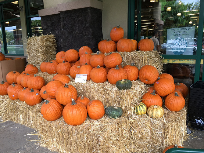 ハワイ 10月の気温 天気 服装 イベントまとめ 格安で旅行できる ハロウィン装飾