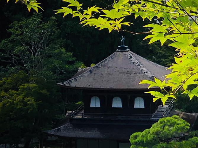 【京都】銀閣寺の魅力と拝観情報まとめ！御朱印、カフェ、アクセス、庭園などの見どころも