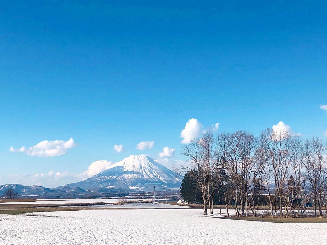 【特集】北海道のおいしい地酒8選！絶対飲みたい地酒と合わせて食べたい海の幸のおつまみ