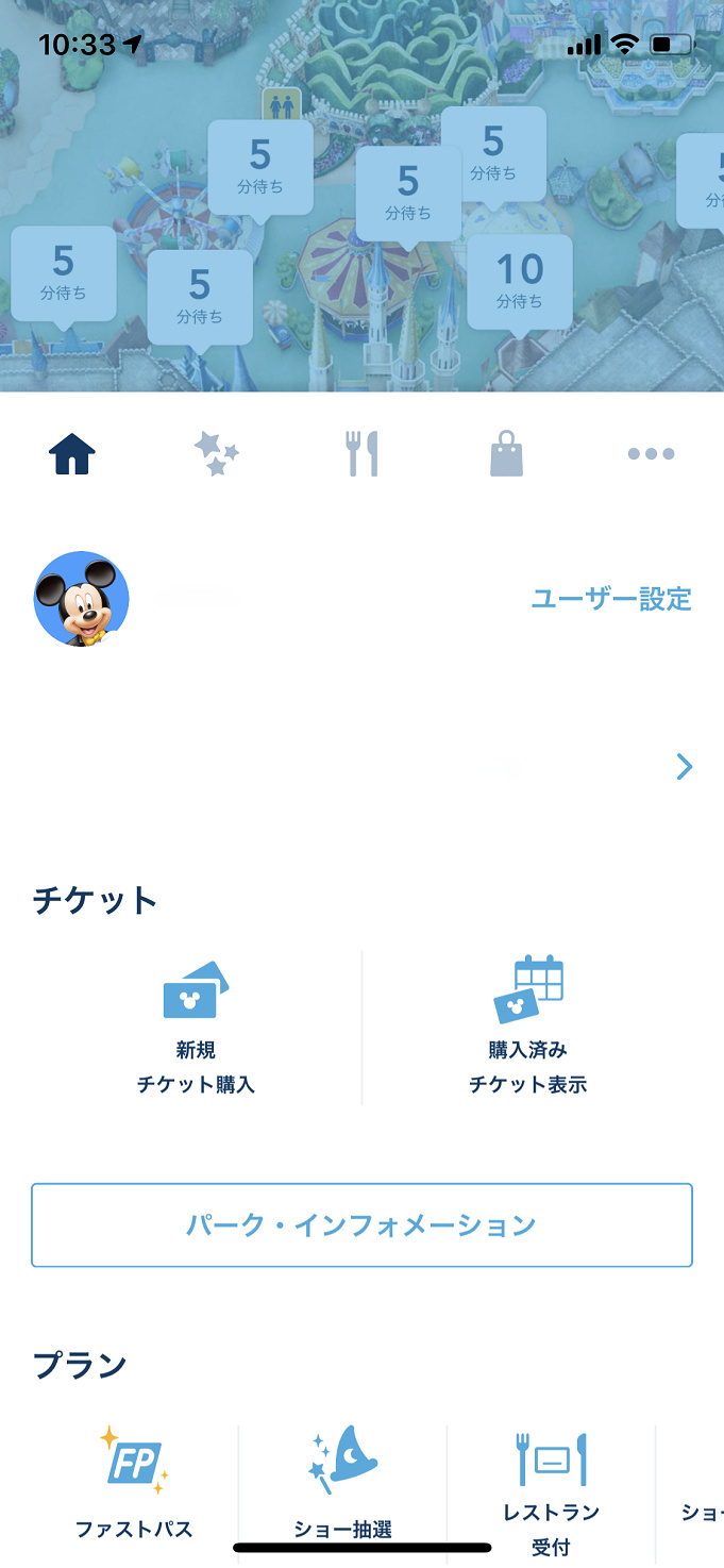 11 19更新 ディズニーチケット予約攻略法 購入できたポイントを徹底解説