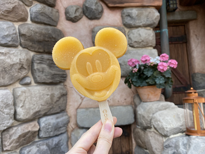 22 ディズニーランドアイス7種類 販売ワゴンの場所 値段まとめ