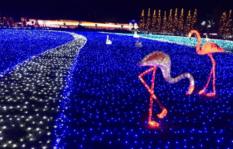 21 22 東武動物公園のイルミネーション 開催期間 チケット 人気クリエイターとコラボした見どころまとめ