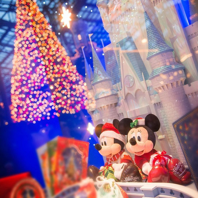 元キャスト伝授 冬ディズニー攻略法 持ち物 おすすめレストラン アトラクション