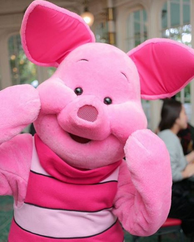 ピグレット 性別はどっち 性格やディズニーで会える場所 洋服の謎を解明