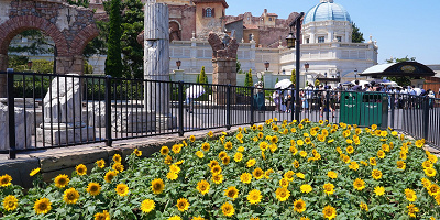 【2025夏】ディズニー熱中症まとめ!暑さ対策グッズ紹介も!