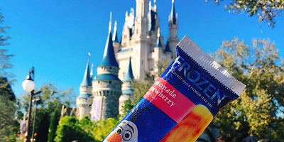 【分野別】WDWマジックキングダムのアトラクション10選!親子・絶叫・限定別紹介