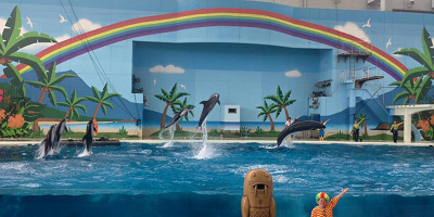 八景島シーパラダイスの水族館はジンベエザメに注目!エリア&開催イベントまとめ!