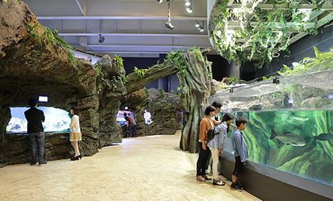 アクアパーク品川の最強デートプラン 駅近の水族館でイルカやクラゲとロマンチックなひとときを