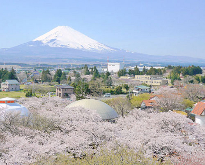 19 富士サファリパークのホテル13選 周辺ホテル 旅館の値段 特徴まとめ