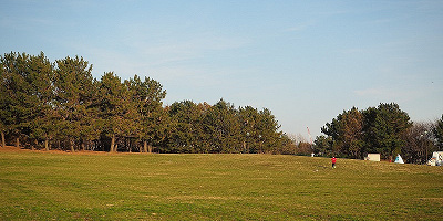 【2020-2021】葛西臨海水族園徹底ガイド!チケット・営業時間・エリア・飼育動物・周辺のランチまとめ