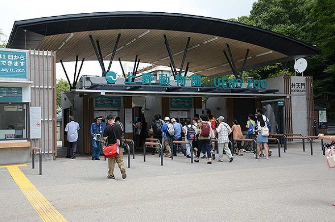 21 上野動物園の料金はいくら 1日チケット料金 年間パスポート 無料で入場できる日まとめ