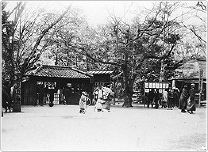 21 上野動物園の料金はいくら 1日チケット料金 年間パスポート 無料で入場できる日まとめ