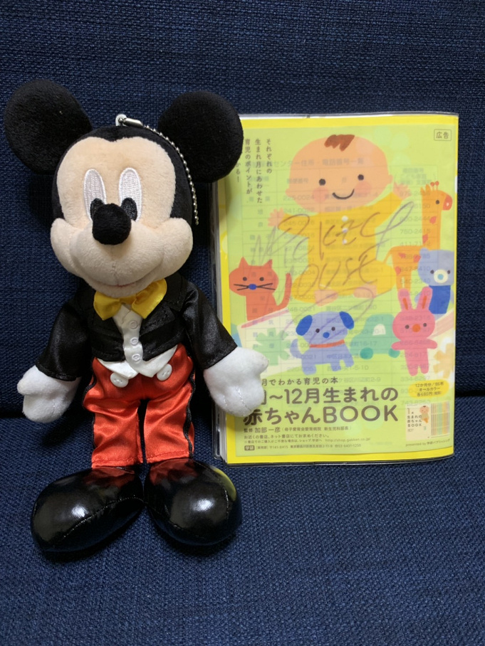 必読 妊娠中もディズニーで楽しもう 妊婦さんが知っておくべき9個のポイント 必読 妊娠中もディズニーで楽しもう 妊婦さんが知っておくべき9個のポイント
