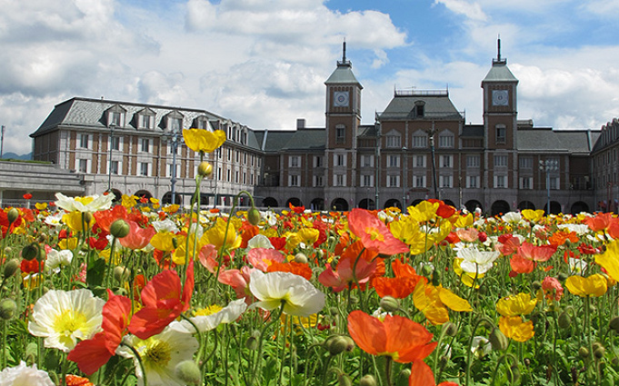 必見 花を楽しむことができるテーマパーク10選 全国のおすすめフラワーパークまとめ 必見 花を楽しむことができるテーマパーク10選 全国のおすすめフラワーパークまとめ