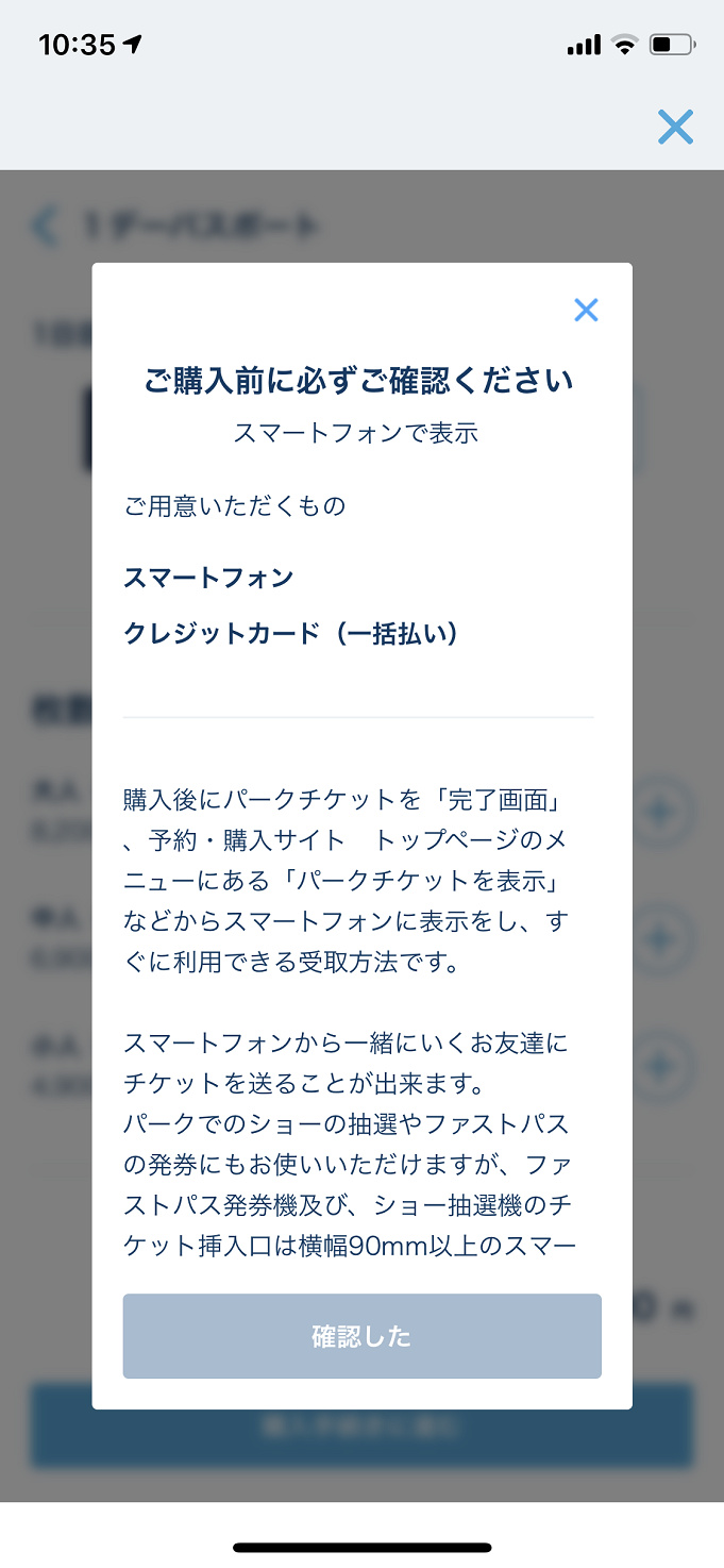 更新 ディズニーチケット予約攻略法 予約できたポイントを徹底解説