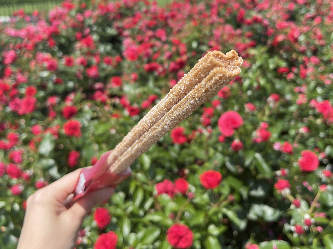 21 ディズニーランドのご飯25選 おすすめパークフードまとめ