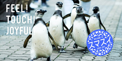 神戸・須磨海浜水族園のリニューアル情報まとめ!再開後はシャチがやってくる!休館期間や終了施設は?