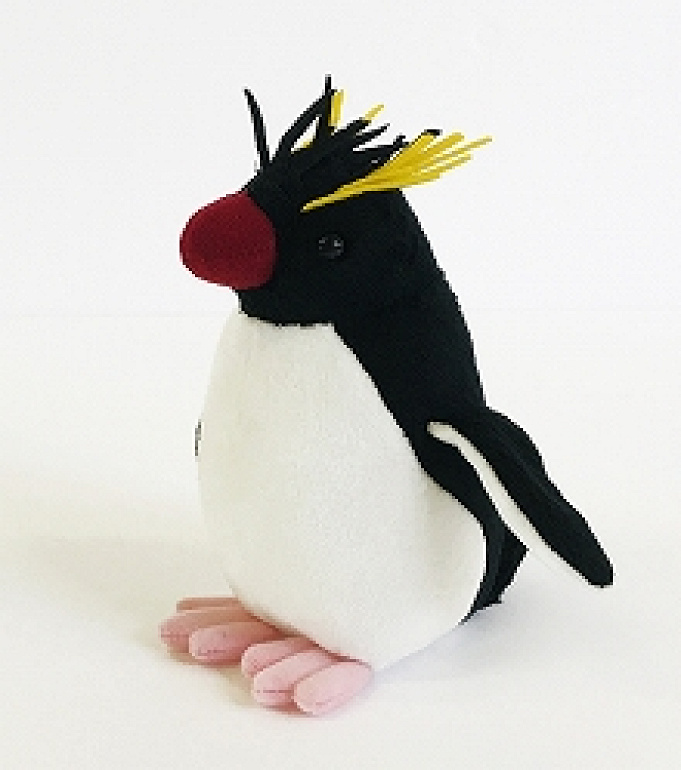 アドベンチャーワールドのペンギンを解説 全8種類の種類 人気のイベント お土産情報も