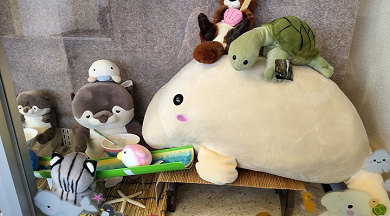 21 鳥羽水族館のお土産ガイド ラッコやジュゴンが人気 おすすめ 鳥羽ならではの 21 鳥羽水族館のお土産ガイド ラッコやジュゴンが人気 おすすめ 鳥羽ならではの