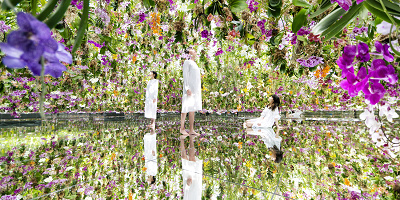 【体験レポ】チームラボプラネッツ豊洲を徹底紹介!ガーデンエリア誕生☆チケット、所要時間情報も!