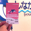 キャステル 【必読】しながわ水族館の割引サービスまとめ!公式割引&クーポンサイトでお得にチケットを買おう♪