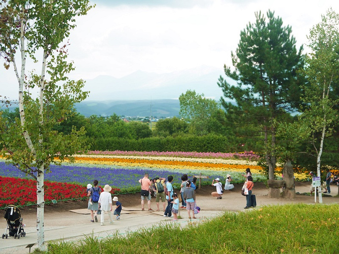 【最新】北海道旅行のおすすめ観光スポット12選！富良野・美瑛・函館の名所を巡ろう