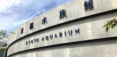 【最新】京都水族館に行ってきた！アクセス、お土産、見どころ、体験談をご紹介！
