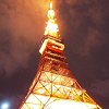 【2019】東京観光バスツアーおすすめ5選!老舗「はとバス」&「スカイバス東京」の特徴まとめ!