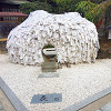 【要注意】京都で話題の縁切り神社「安井金比羅宮」がヤバい!怖すぎる体験談の真相は?!