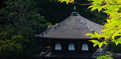 【京都】銀閣寺の魅力と拝観情報まとめ！御朱印、カフェ、アクセス、庭園などの見どころも
