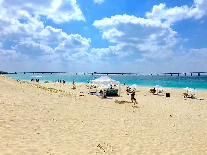 【危険】宮古島ビーチではハブクラゲに注意！安全に楽しむための6つの対策&おすすめビーチまとめ