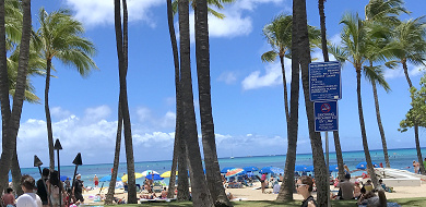 【3泊5日】ハワイを楽しみ尽くす旅行プランを紹介！ショッピング、カフェ、ビーチを満喫！