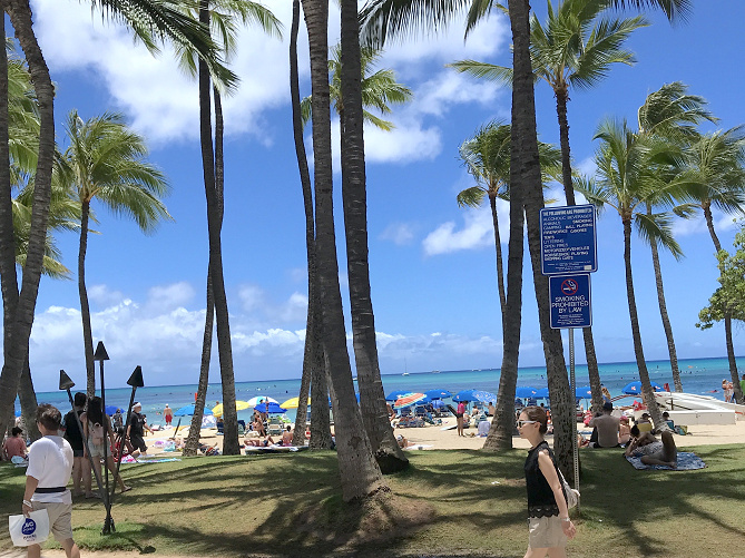 【3泊5日】ハワイを楽しみ尽くす旅行プランを紹介！ショッピング、カフェ、ビーチを満喫！