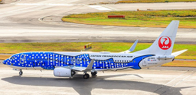 【沖縄】那覇空港へ行ける航空会社を徹底比較！沖縄らしいジンベエザメジェットが大人気！