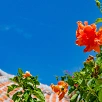 キャステル 【最大半額】GoToキャンペーンで旅行に行こう！利用方法を分かりやすく解説！